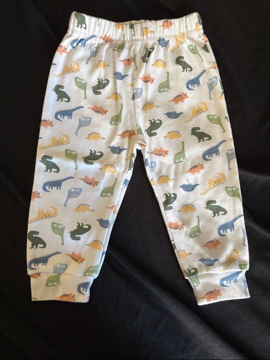 chick pea Other - Kids White Dinosaur Print Pajama Pants